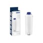 DeLonghi DLS C002 Wasserfilter